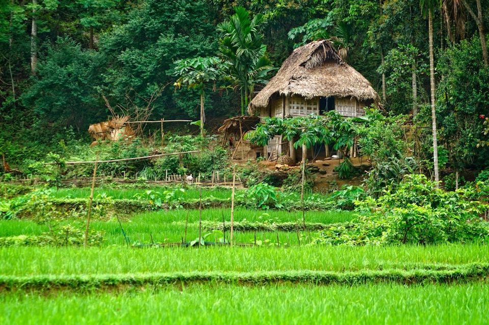 pu luong nature reserve vietnam