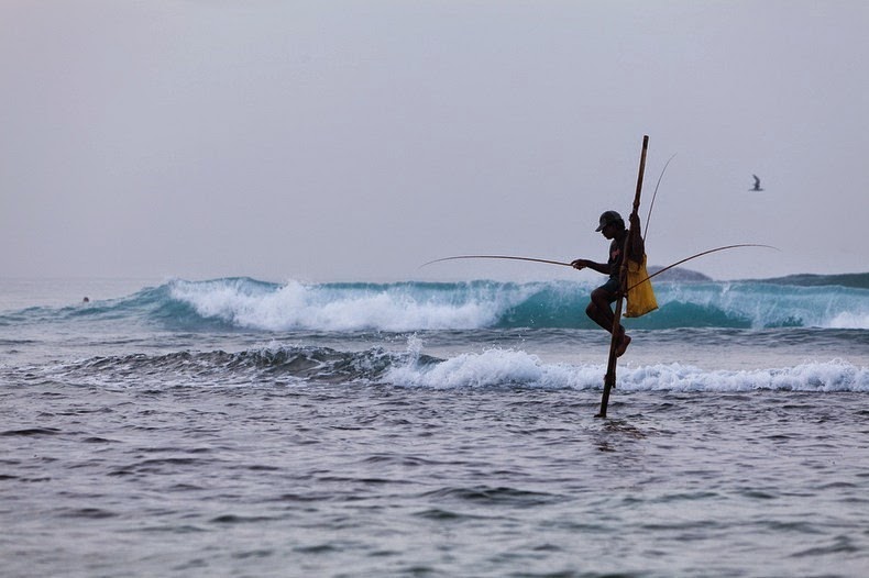 Stilt Fishermen Of Sri Lanka (PHOTOS)