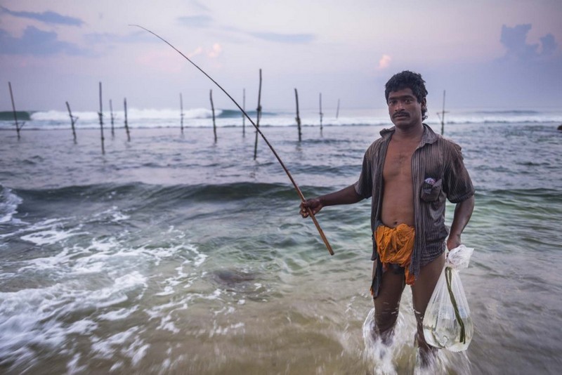 fishing on stilts in sri lanka 