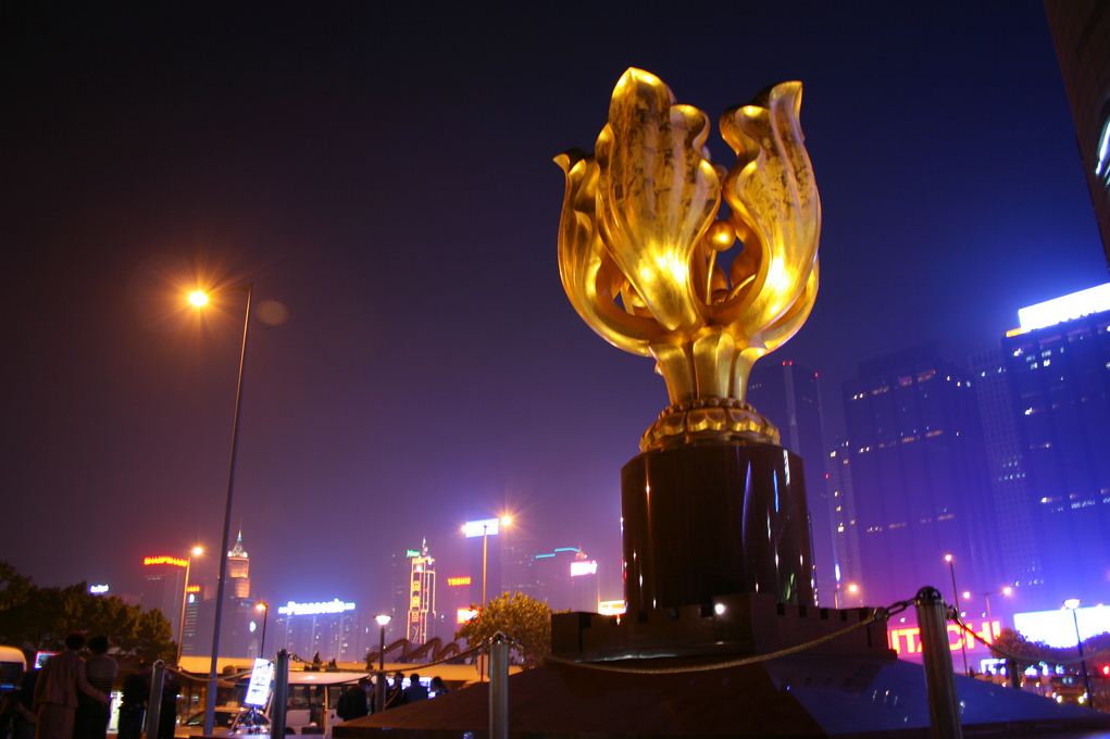 Golden Bauhinia