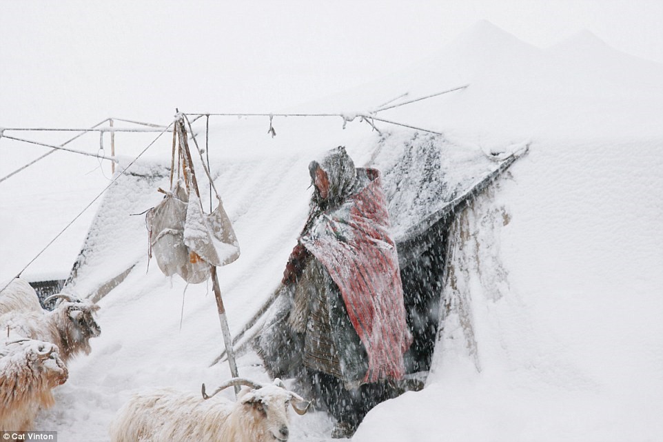 No-money, no-technology, and nomadic life of a tribe in the Himalayas 
