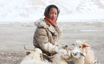No-money, no-technology, and nomadic life of a tribe in the Himalayas tibet