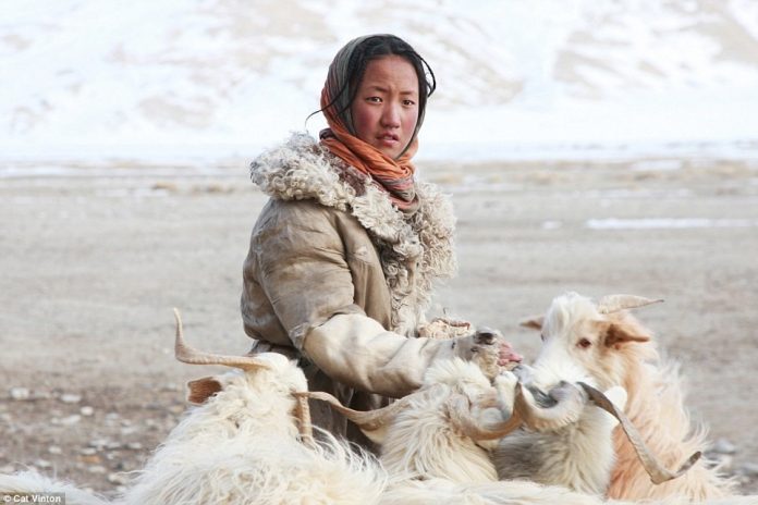 No-money, no-technology, and nomadic life of a tribe in the Himalayas tibet