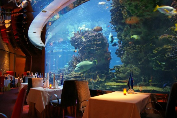 aquarium burj al arab hotels