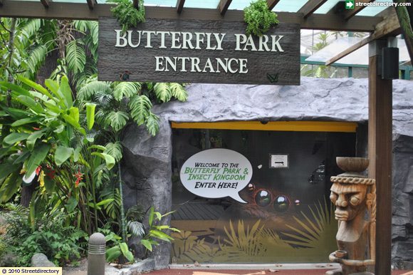 butterfly park and insect kingdom sentosa singapore travel