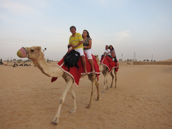 camel dubai