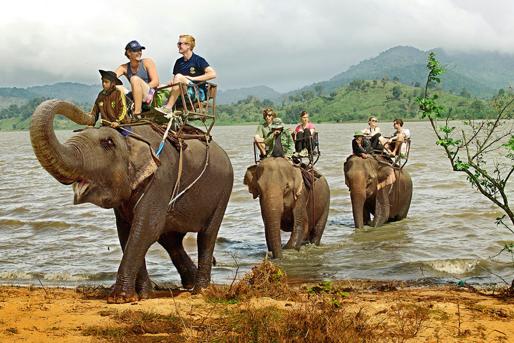 tours ride elephants central highlands vietnam 2