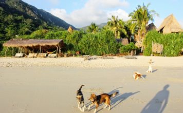 Things to do in Jungle Beach nha trang Vietnam