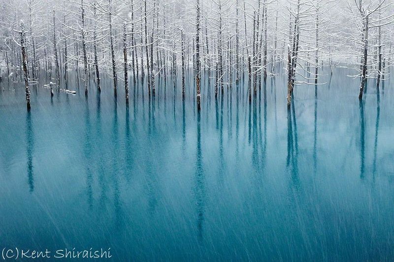 Blue Pond In Hokkaido amazing-places-japan