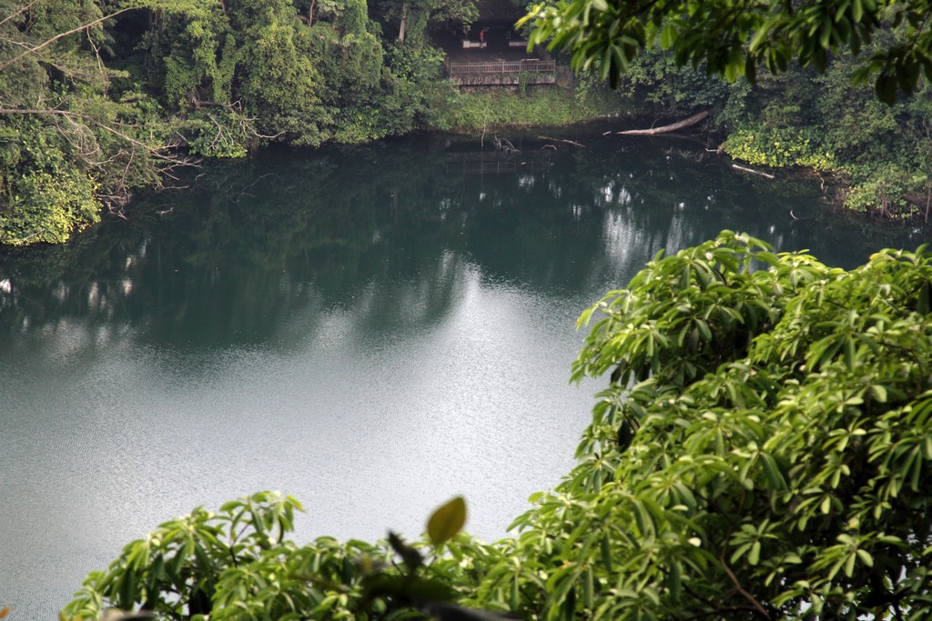 Bukit_timah_nature reserve singapore travel destinations 1