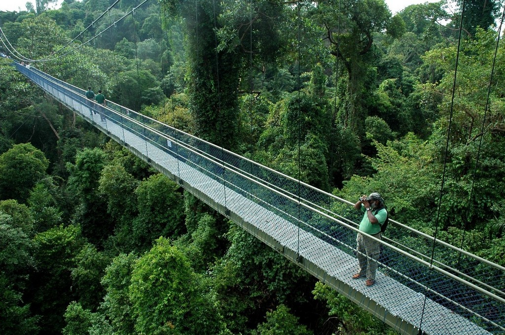 Bukit_timah_nature reserve singapore travel destinations 2