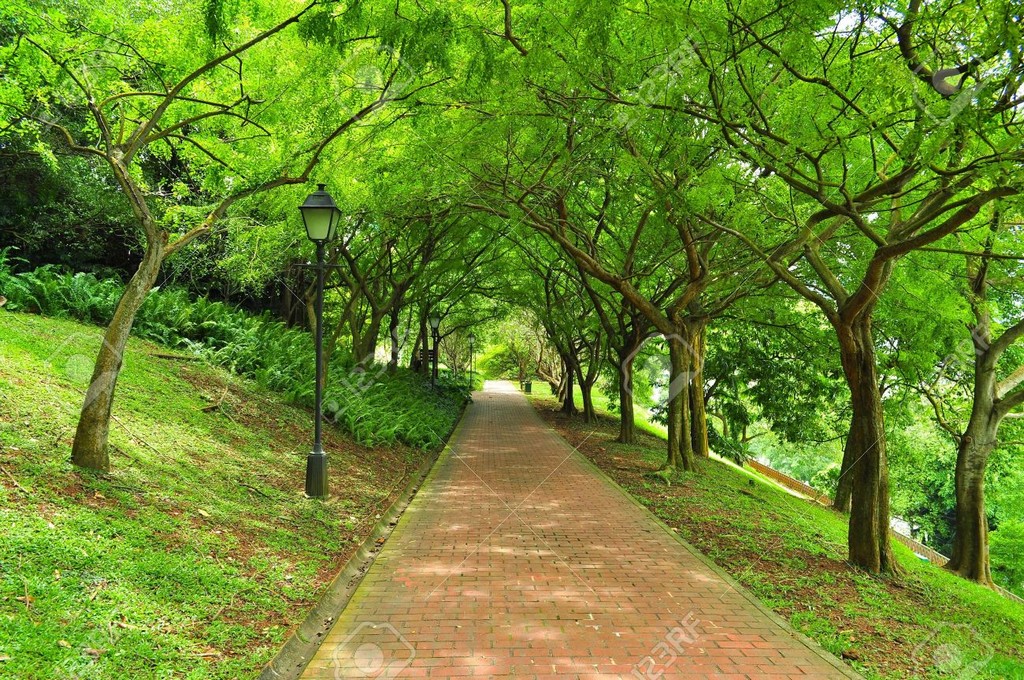 Fort Canning Park Singapore 16