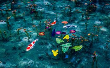 Hidenobu Suzuki photography japan rainy season series photos 1