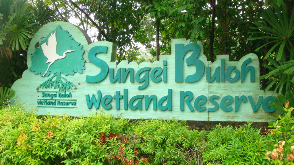 Sungei_Buloh_Wetland_Reserve_Banner singapore 20