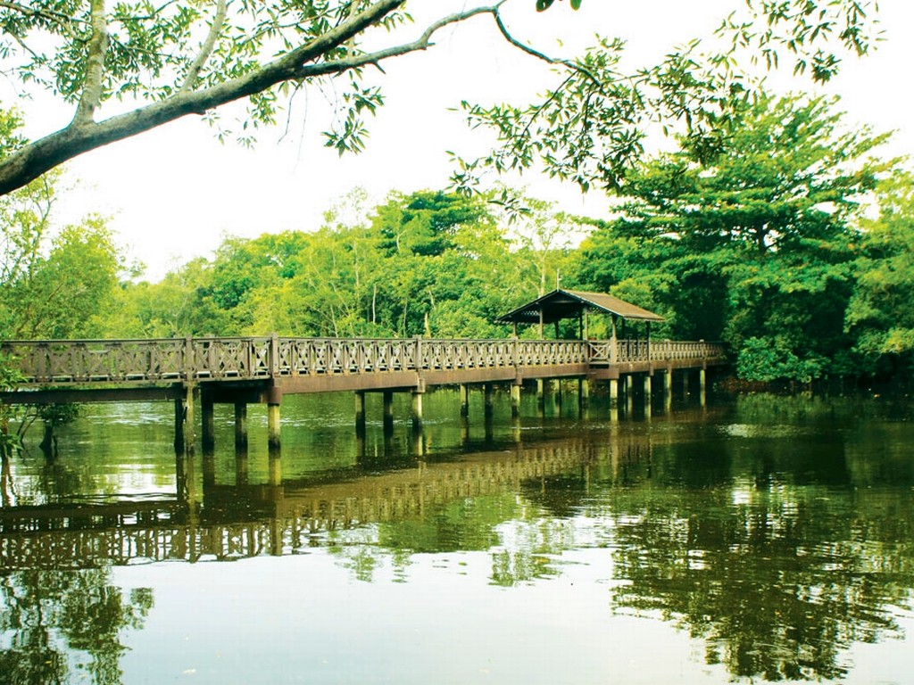 Sungei_Buloh_Wetland_Reserve_Banner singapore 22