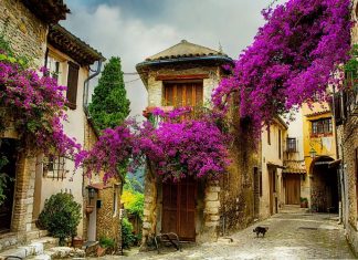Small Town In Provence, France