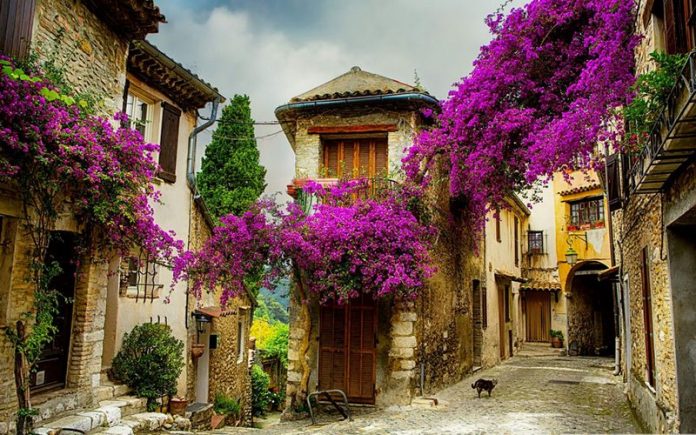 Small Town In Provence, France