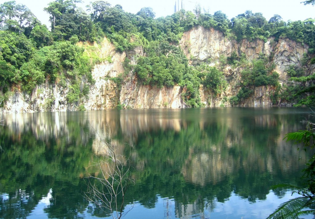 bukit timah nature reserve singapore 23