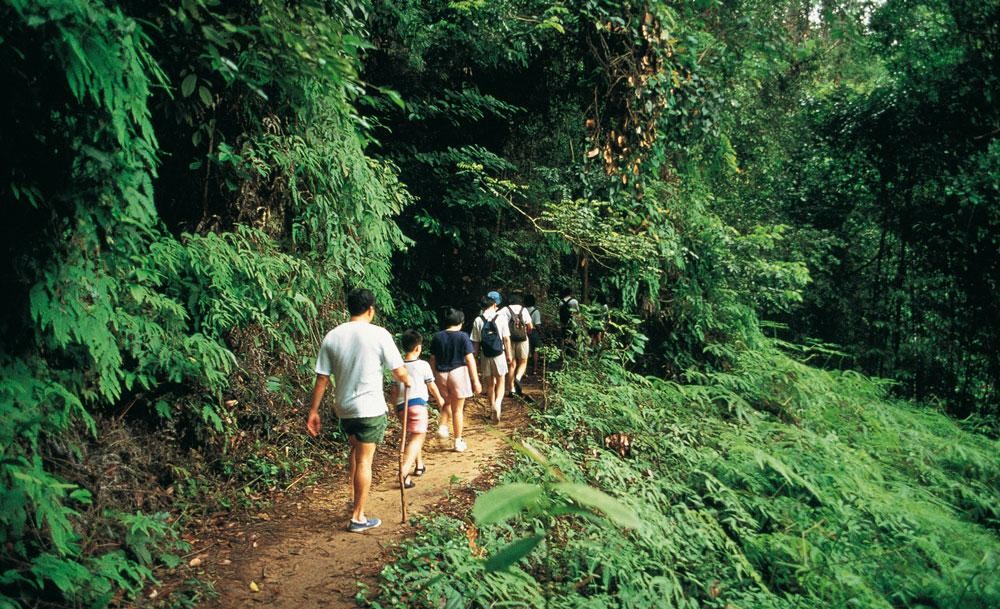 bukit-timah-nature-reserve-singapore 24