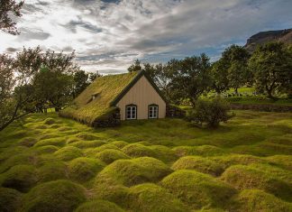 scandinavian houses with grass roofs photos photography pictures 1