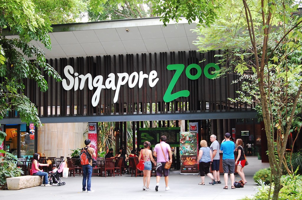 singapore zoo 1