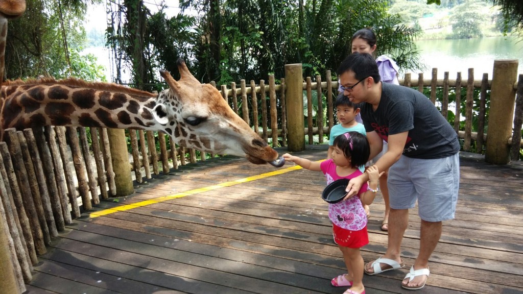 singapore zoo 2