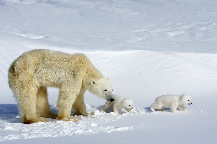 18+ beautiful pictures of Canada make you want to visit right now ...