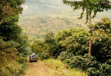 5 reasons why you should visit El Salvador El-Salvador-Stuart Ruta de Las Flores