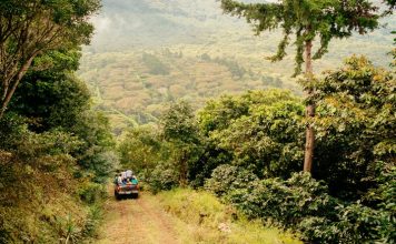 El-Salvador-Stuart Ruta de Las Flores