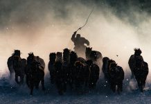 National Geographic travel photography contest winners of 2016 1