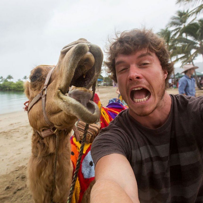 allan dixon master selfies with animals 1
