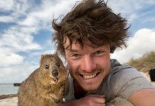 allan dixon master selfies with animals 1