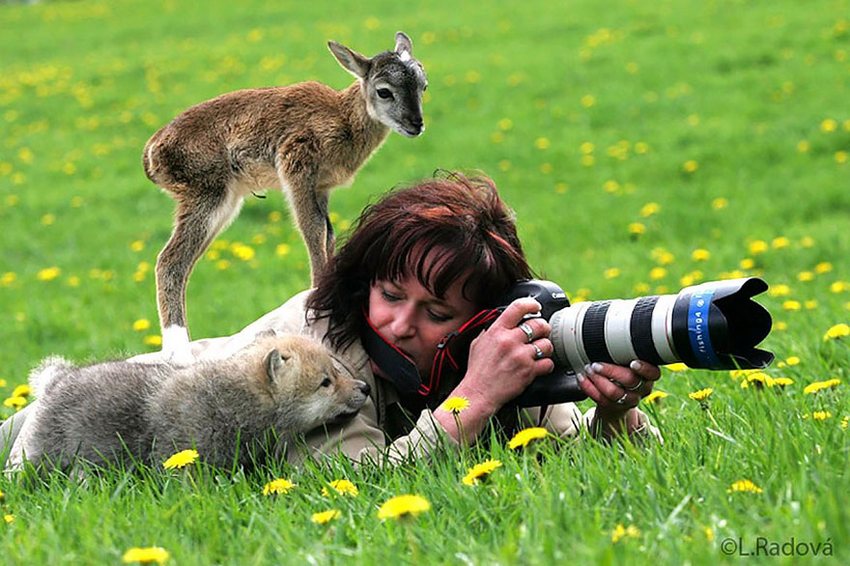nature photographer wildlife 1