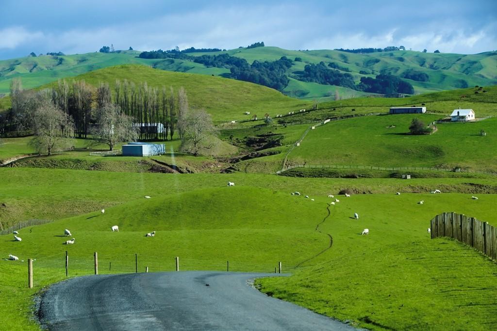 1 hobbiton new zealand (1)