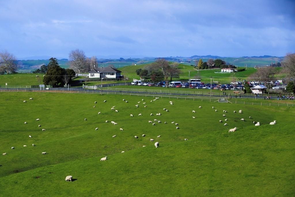 1 hobbiton new zealand (2)