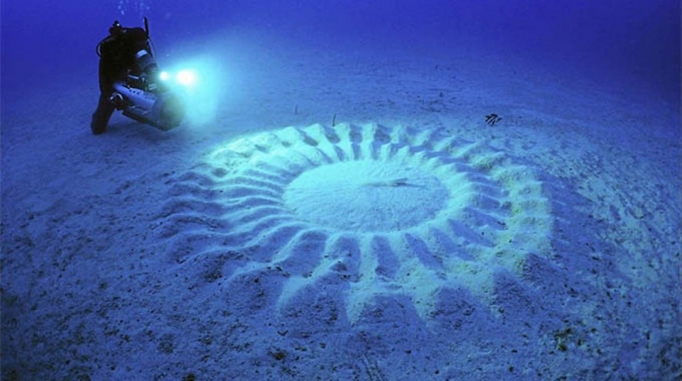 Underwater Crop Circles