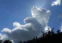 Winnie the Pooh Cloud