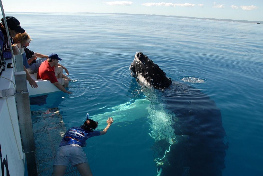 scuba diving brisbane china