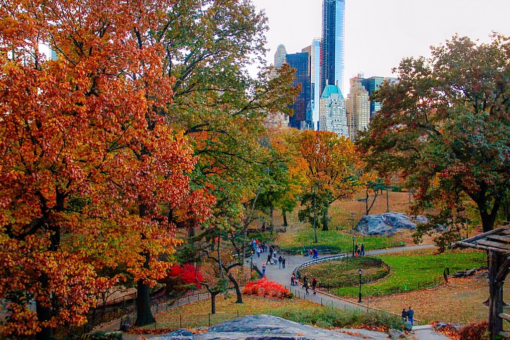 Autumn, Central park, New York, US 