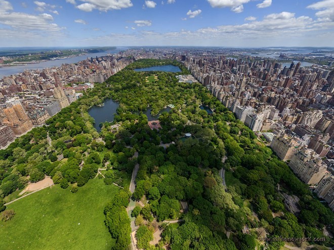 Central park, New York, US 3