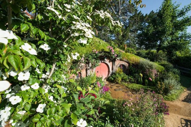 hobbiton fairy village the lord of the rings new zealand (12)