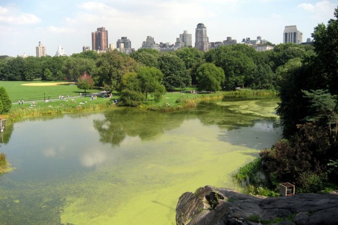 10 hidden secrets of New York Central Park you probably didn't know ...