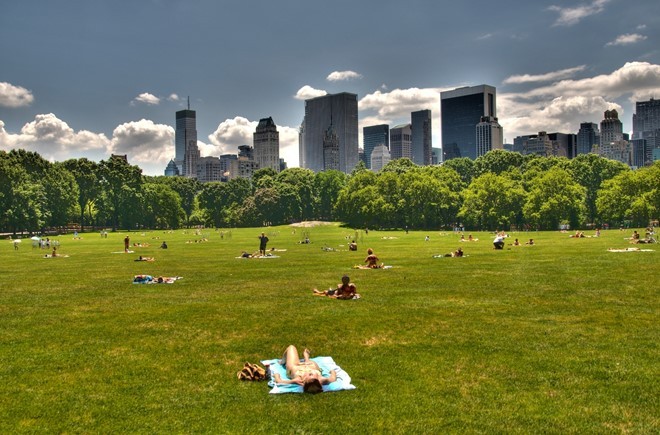 sunbath, Central park, New York, US 