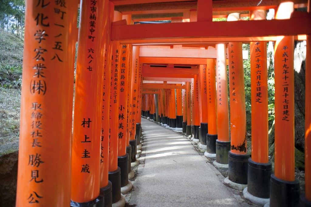 torii gate tunnel, pray at shrines, Japanese shrines, Japan