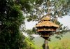 treehouse in Nam Kan, Bokeo Province 2