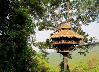 treehouse in Nam Kan, Bokeo Province 2