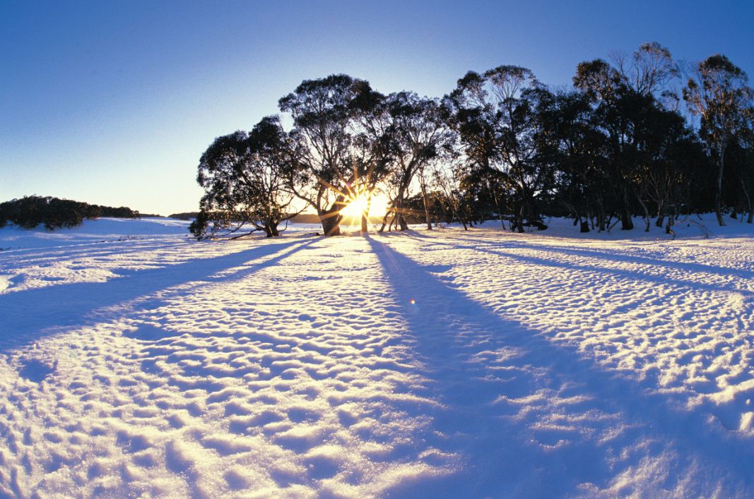 snow melbourn city winter australia 25