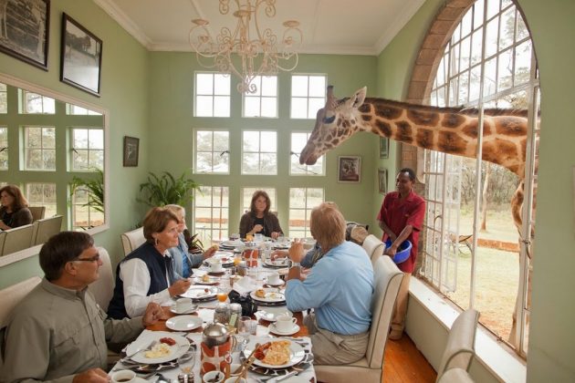 wanderlust_tips_enjoy-breakfast-with giraffes-in-Kenya4 (12)