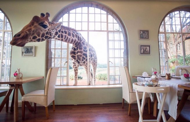 wanderlust_tips_enjoy-breakfast-with giraffes-in-Kenya4 (14)