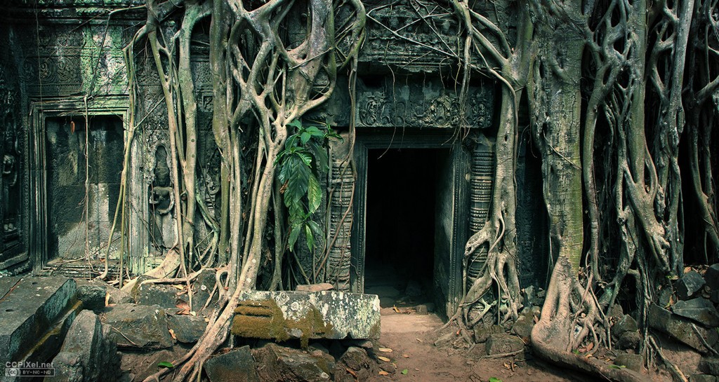 2-ta-prohm-temple-1